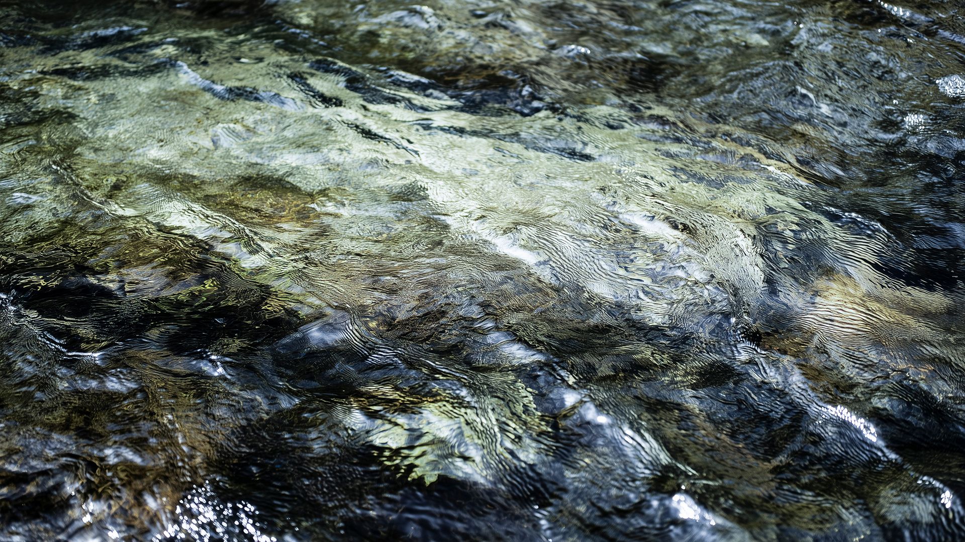 Nahaufnahme einer flach strömenden Wasseroberfläche mit sichtbaren Wirbeln, Lichtreflexen und dunklen, steinigen Bereichen darunter. Das Motiv steht für Umweltmonitoring und Wasseranalytik—ideal zur Illustration unabhängiger Prüf- und Laborleistungen für Trinkwasser-, Prozesswasser- und Gewässerqualität in regulierten Anwendungen. Nahaufnahme einer flach strömenden Wasseroberfläche mit sichtbaren Wirbeln, Lichtreflexen und dunklen, steinigen Bereichen darunter. Das Motiv steht für Umweltmonitoring und Wasseranalytik—ideal zur Illustration unabhängiger Prüf- und Laborleistungen für Trinkwasser-, Prozesswasser- und Gewässerqualität in regulierten Anwendungen.