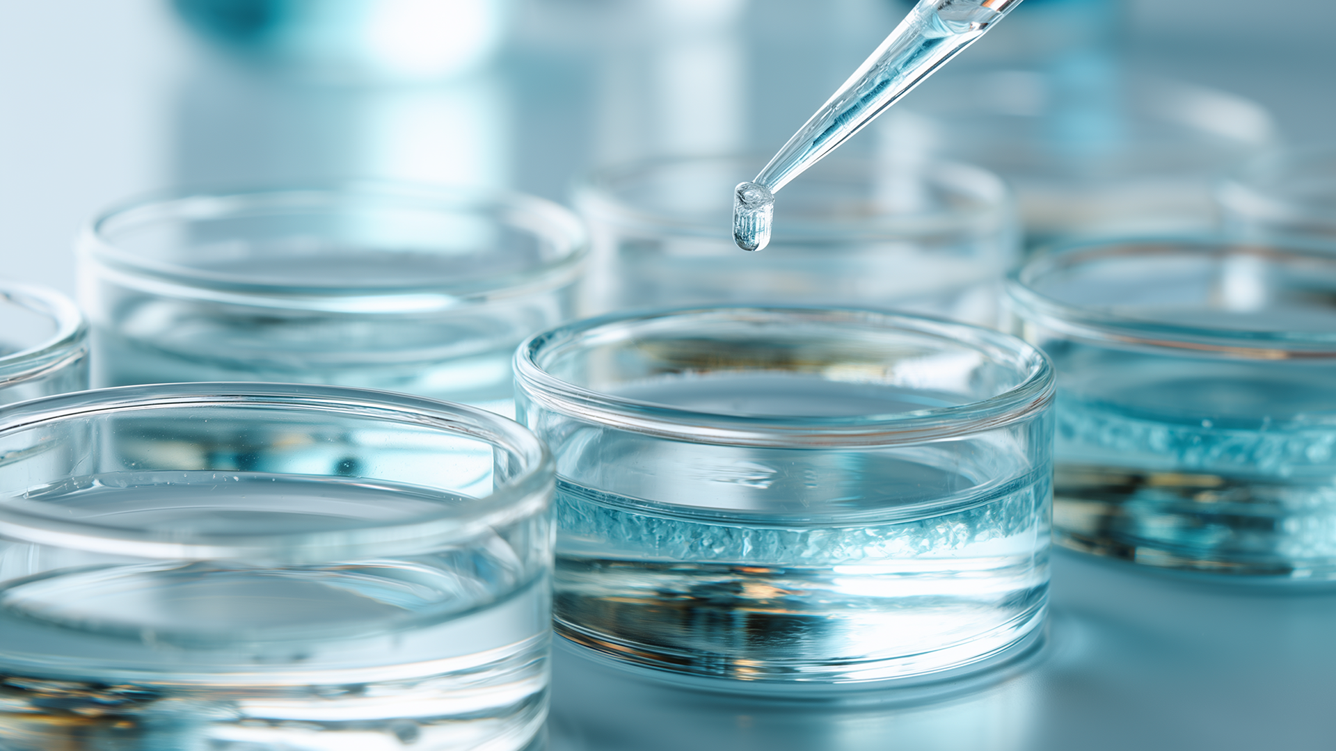 Makroaufnahme mehrerer transparenter Laborschalen mit klarer Fl&uuml;ssigkeit; dar&uuml;ber h&auml;lt eine Pipette einen Tropfen kurz vor der Probenzugabe. Das Motiv steht f&uuml;r pr&auml;zise, unabh&auml;ngige analytische Pr&uuml;fungen, Qualit&auml;tskontrolle und regulatorisch belastbare Ergebnisse in Pharma-, Biotech- und Chemieanwendungen.