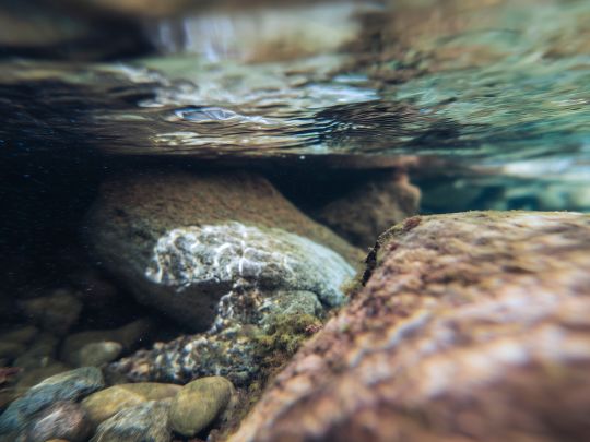 Unterwasseraufnahme eines klaren, flach str&ouml;menden Gew&auml;ssers mit abgerundeten Steinen und Kies im Vordergrund; die Wasseroberfl&auml;che bildet oben eine schimmernde Spiegelzone. Das Motiv steht f&uuml;r zuverl&auml;ssige Umwelt- und Wasseranalytik, Probenahme und unabh&auml;ngige Qualit&auml;tspr&uuml;fung in regulierten Anwendungen.