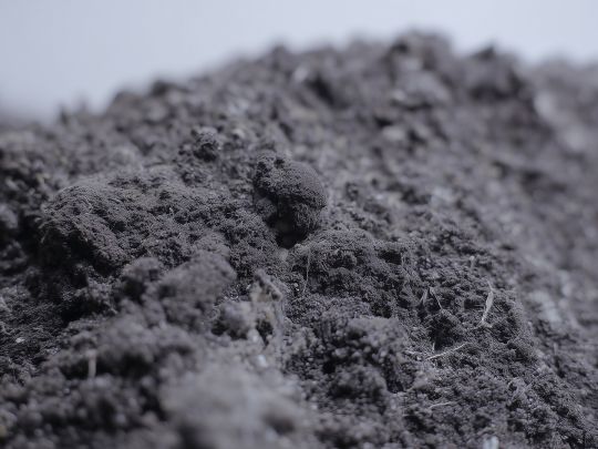 260324_CERTANIA_DrNuss_AI_soil_organic_waste